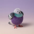 Leicester Pigeon